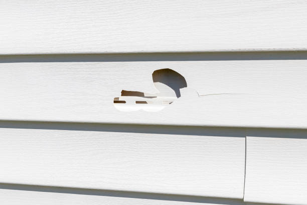 Affordable siding repair and maintenance services in Moses Lake North, WA